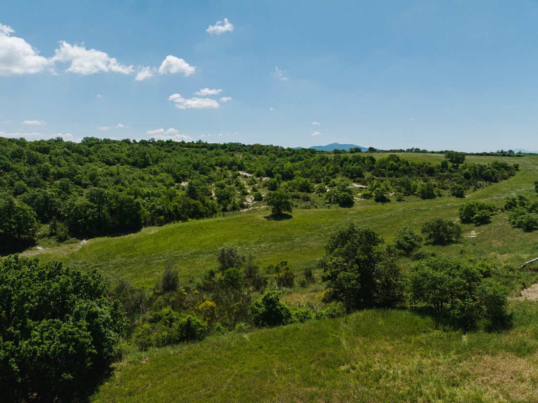 Azienda agricola a San Venanzo, Umbria, Italia 3 - 19121182