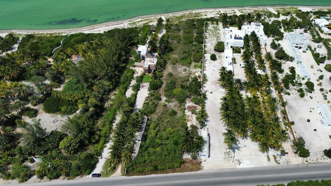 Land in San Bruno, Yucatán, Mexiko 5 - 19134677