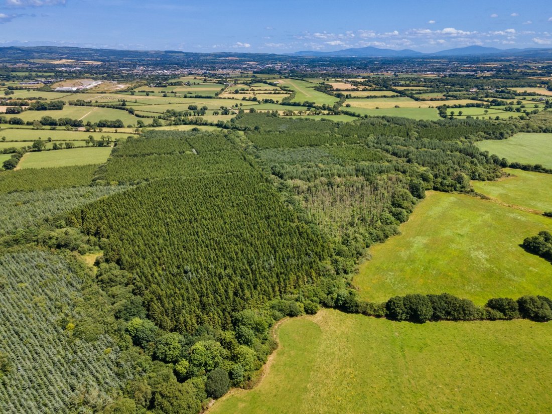 Terreno en Bonnettstown, County Kilkenny, Irlanda 1 - 19122471