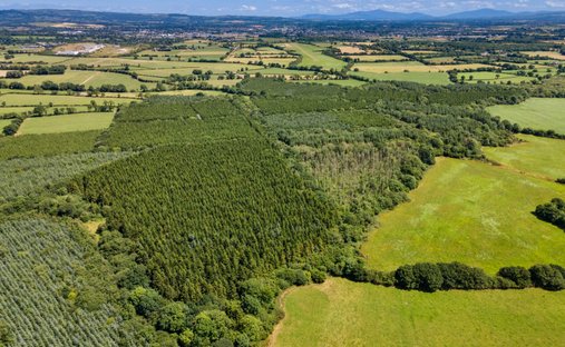 Terreno en Bonnettstown, County Kilkenny, Irlanda 1