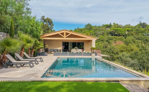 Villa in La Garde-Freinet, Provence-Alpes-Côte d'Azur, France 1
