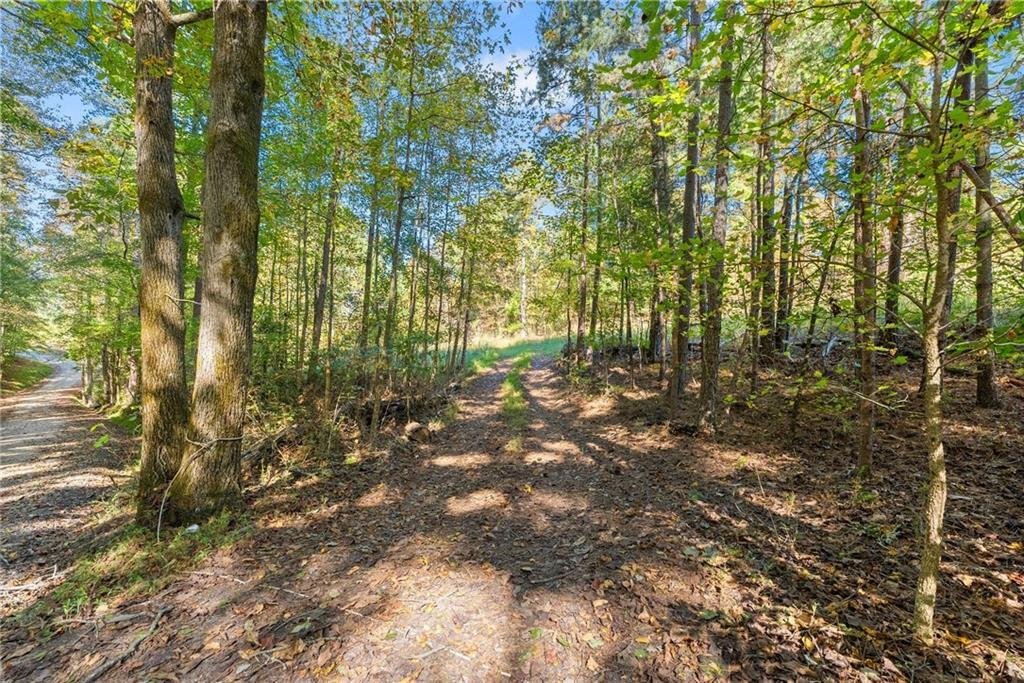Terreno a Gainesville, Georgia, Stati Uniti 5 - 19123306
