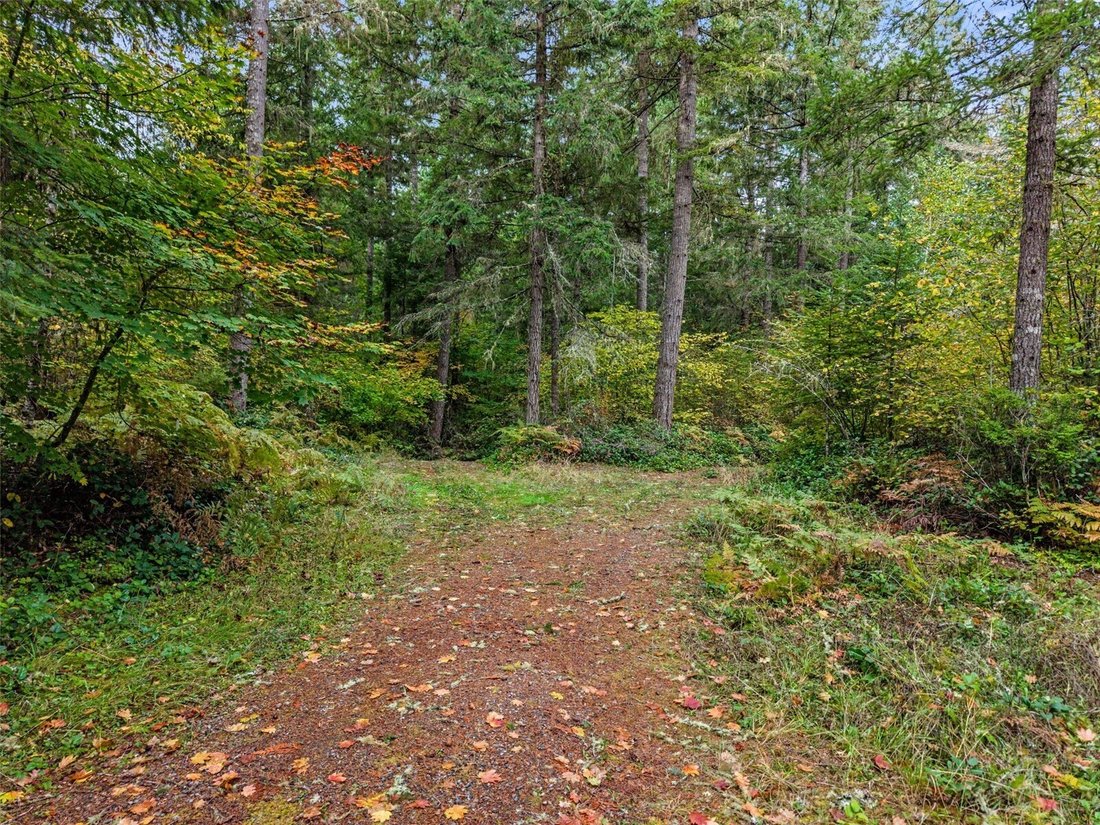 Terrain à Tenino, Washington, États-Unis 3 - 19126881