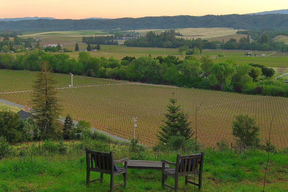 Terrain à Healdsburg, Californie, États-Unis 1 - 17476290