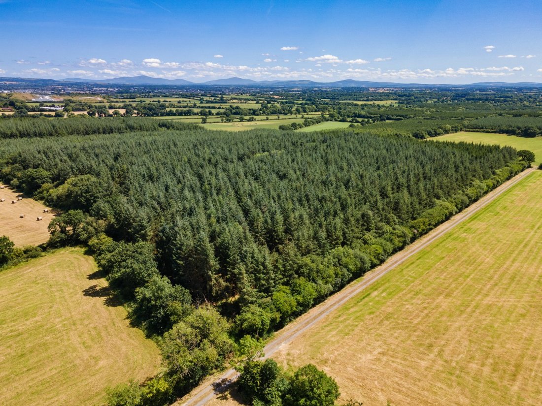 Terreno en Bonnettstown, County Kilkenny, Irlanda 2 - 19122471