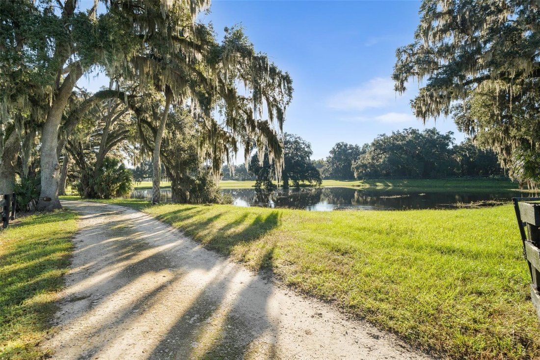 Land in Dunnellon, Florida, United States 3 - 19126350