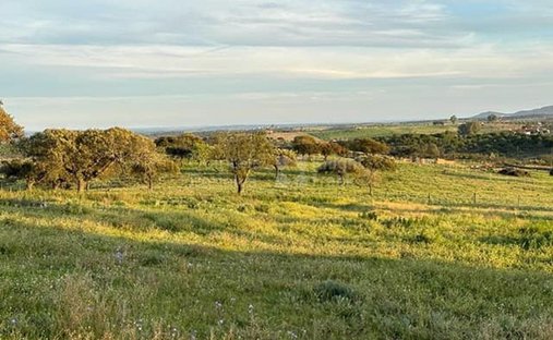 Land in Pardais, Distrikt Évora, Portugal 1