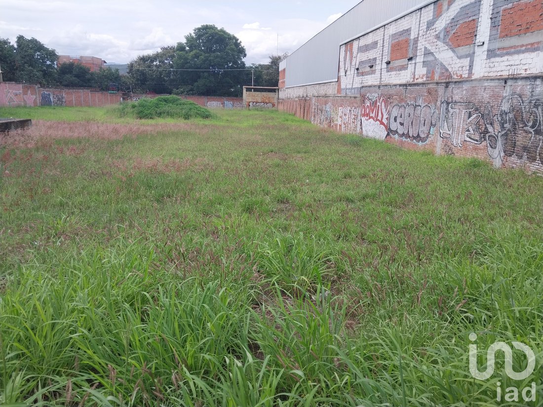 Land in Oaxaca, Oaxaca, Mexiko 5 - 19131035