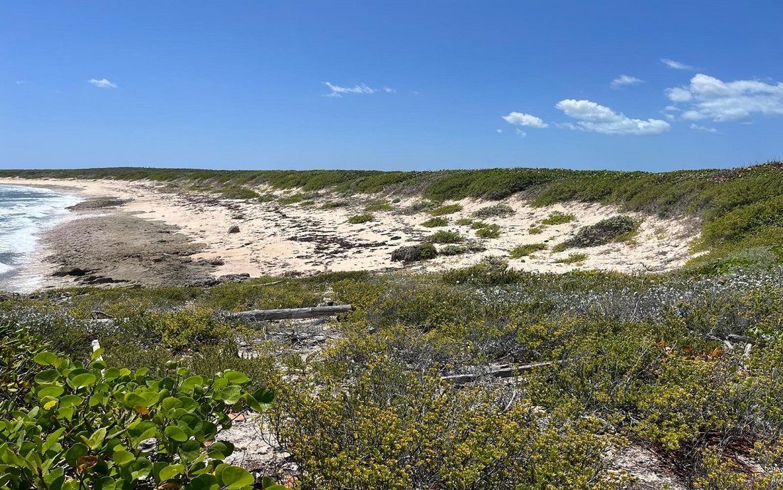 Land in Dunmore Settlement, Long Island, Bahamas 1 - 19124061