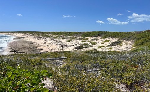 Land in Dunmore Settlement, Long Island, Bahamas 1