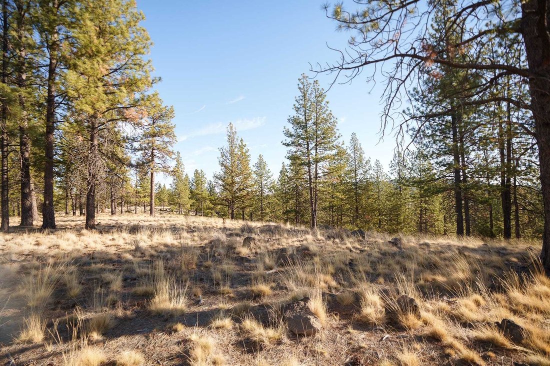 Land in Bend, Oregon, United States 1 - 19127693