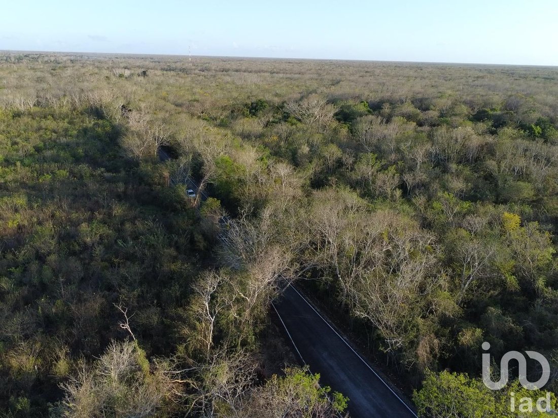 Terreno en Sisbichén, Yucatán, México 2 - 19131029