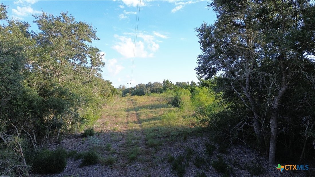 Terrain à Moulton, Texas, États-Unis 1 - 19132610