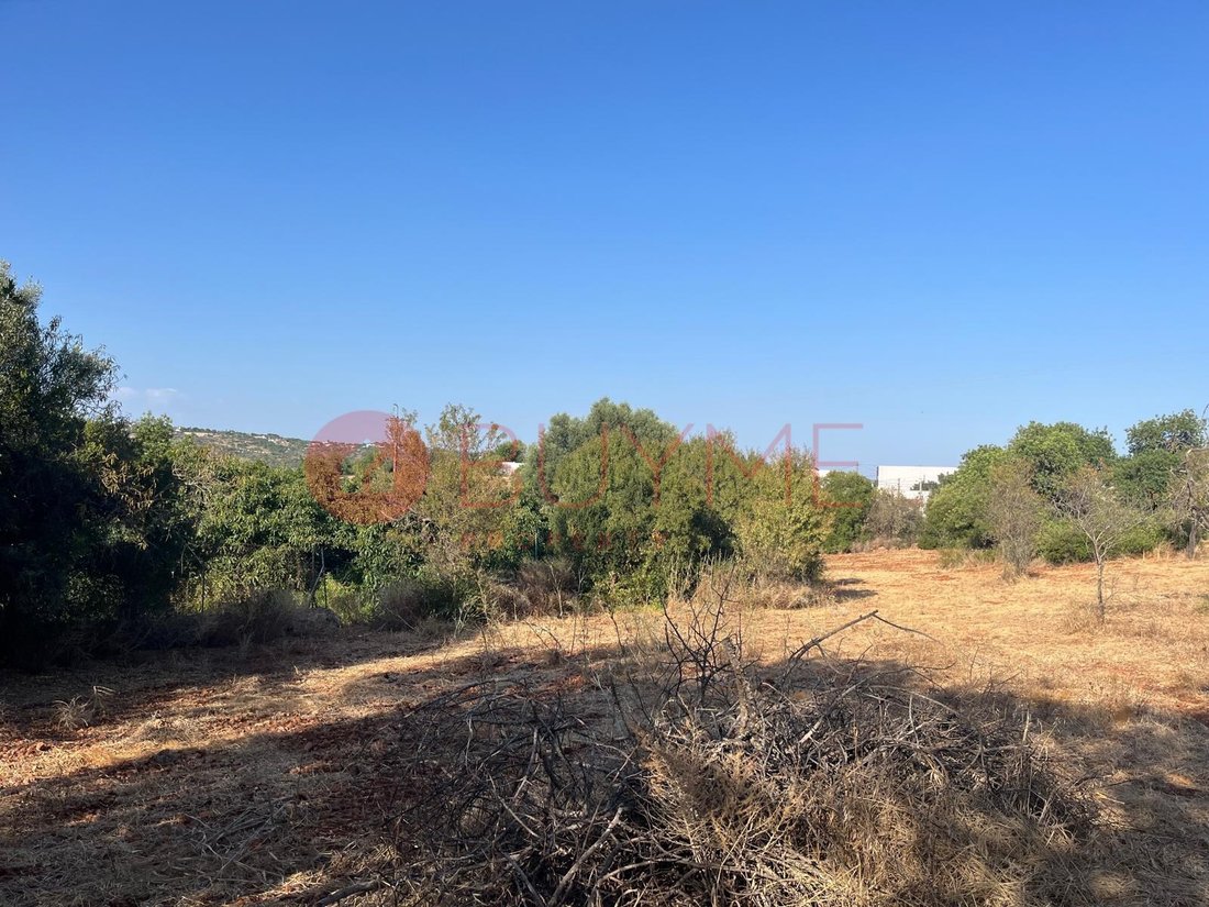 Land in Boliqueime, Algarve, Portugal 4 - 19133984