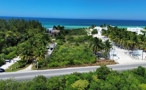 Land in San Bruno, Yucatán, Mexiko 1