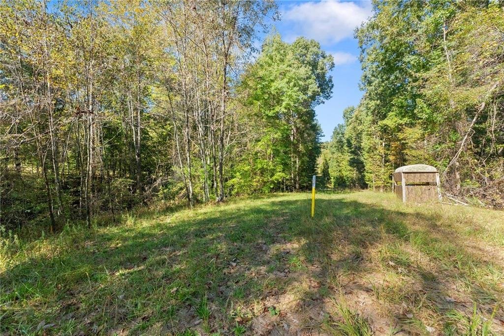 Terreno a Gainesville, Georgia, Stati Uniti 4 - 19123306