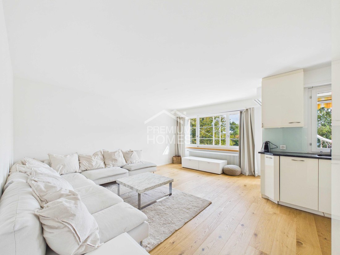 Apartamento en Zúrich, Cantón de Zúrich, Suiza 2 - 19131852