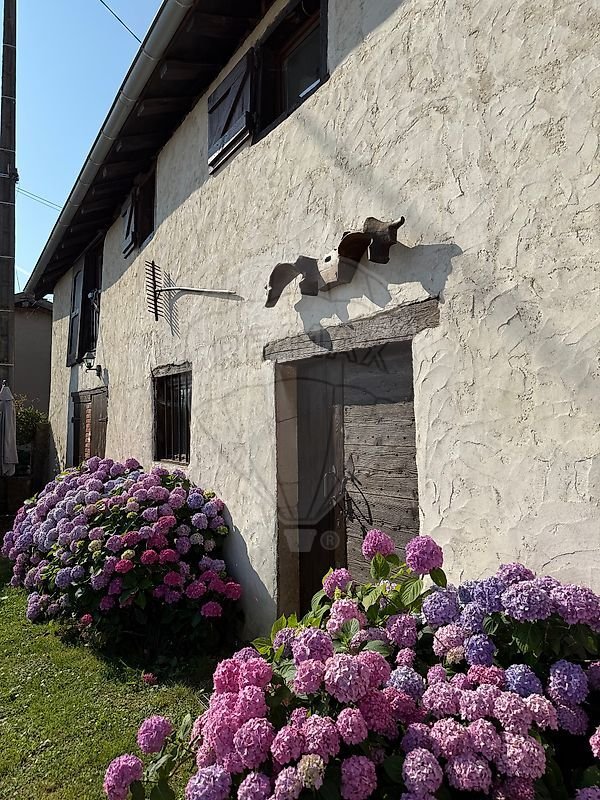 House in Baneins, Auvergne-Rhône-Alpes, France 3 - 19130018