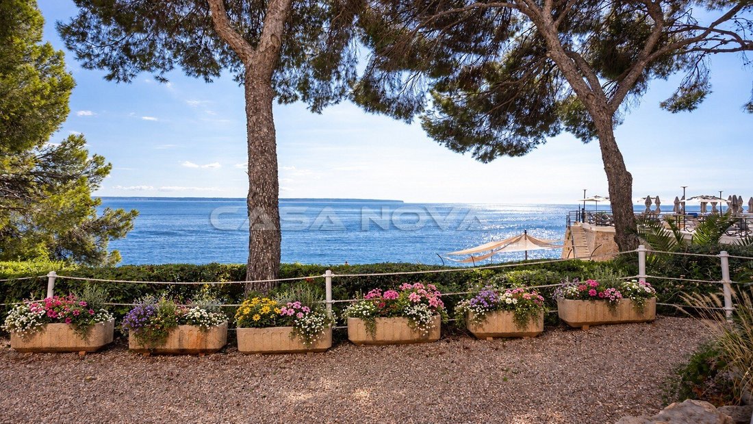 Wohnung in Portals Nous, Calvià, Balearische Inseln 5 - 19125653