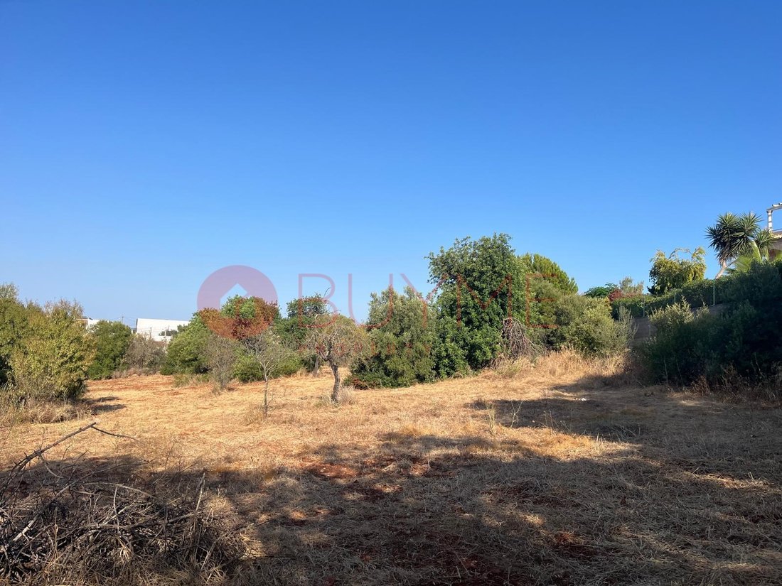 Land in Boliqueime, Algarve, Portugal 1 - 19133984