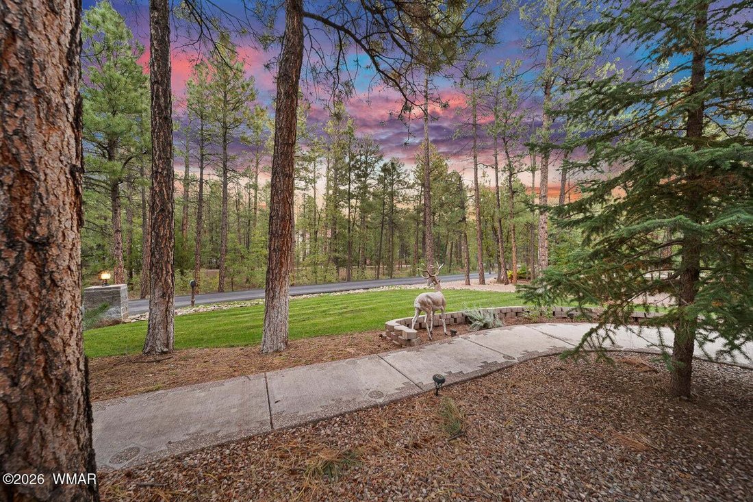 House in Show Low, Arizona, United States 4 - 19136172