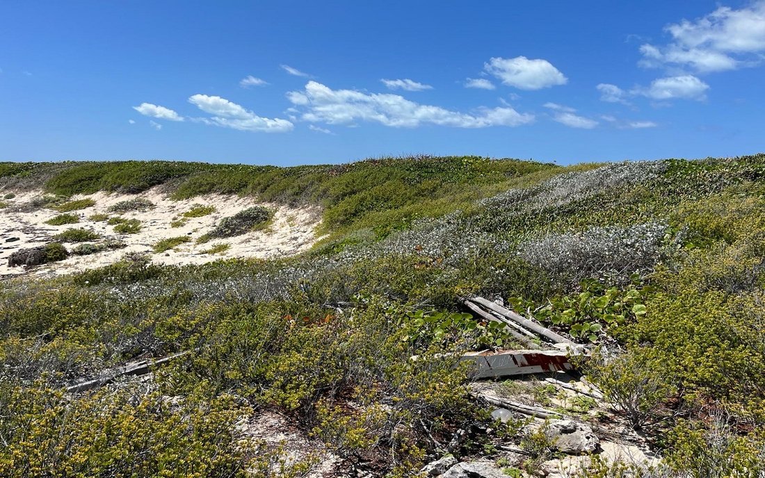 Land in Dunmore Settlement, Long Island, Bahamas 2 - 19124061