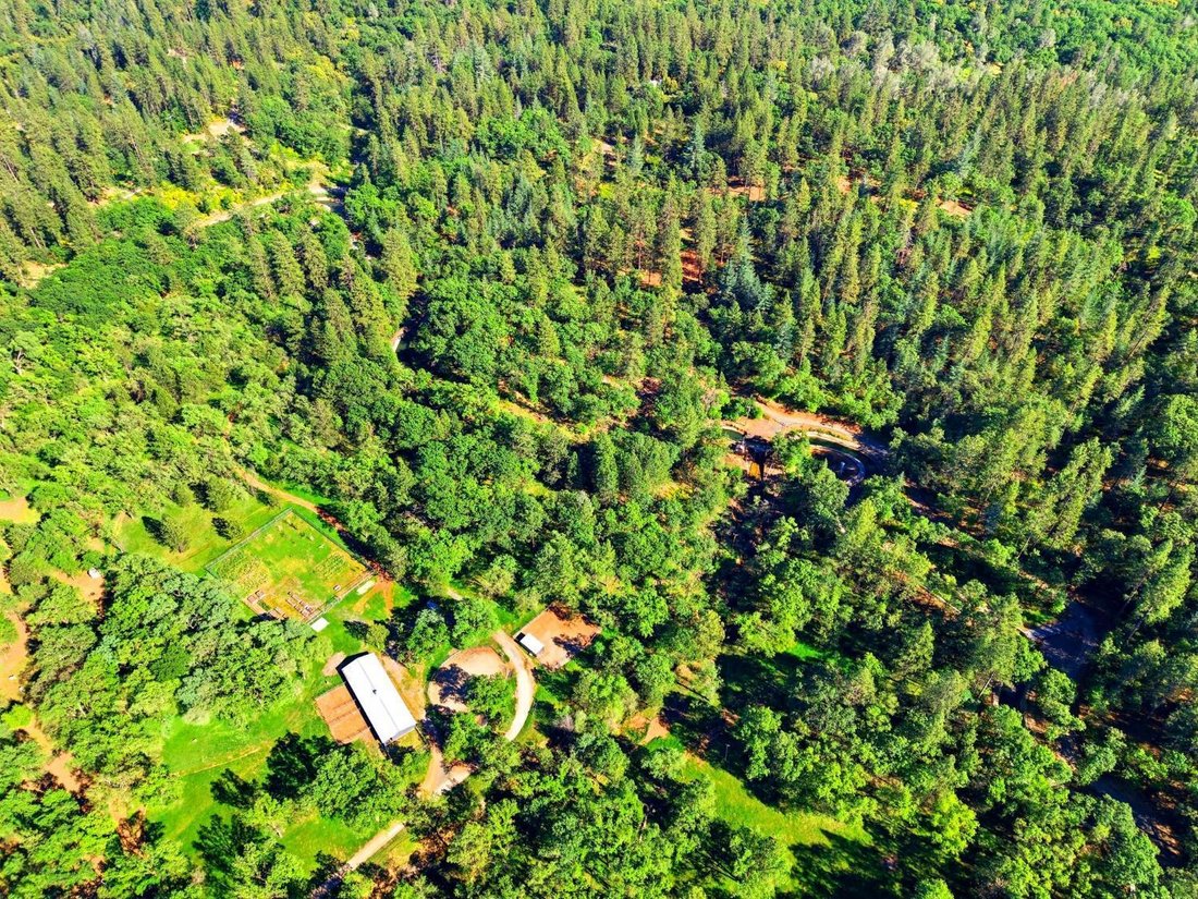 Terrain à Meadow Vista, California, Californie, États-Unis 5 - 18090958