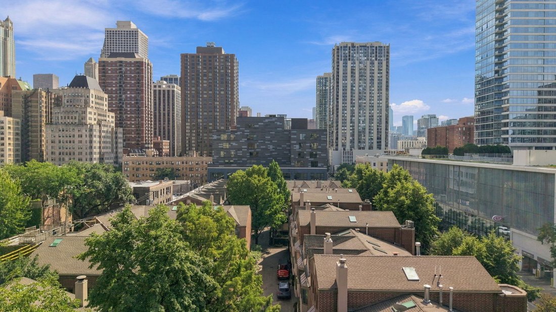Residenza a Chicago, Illinois, Stati Uniti 2 - 19130556