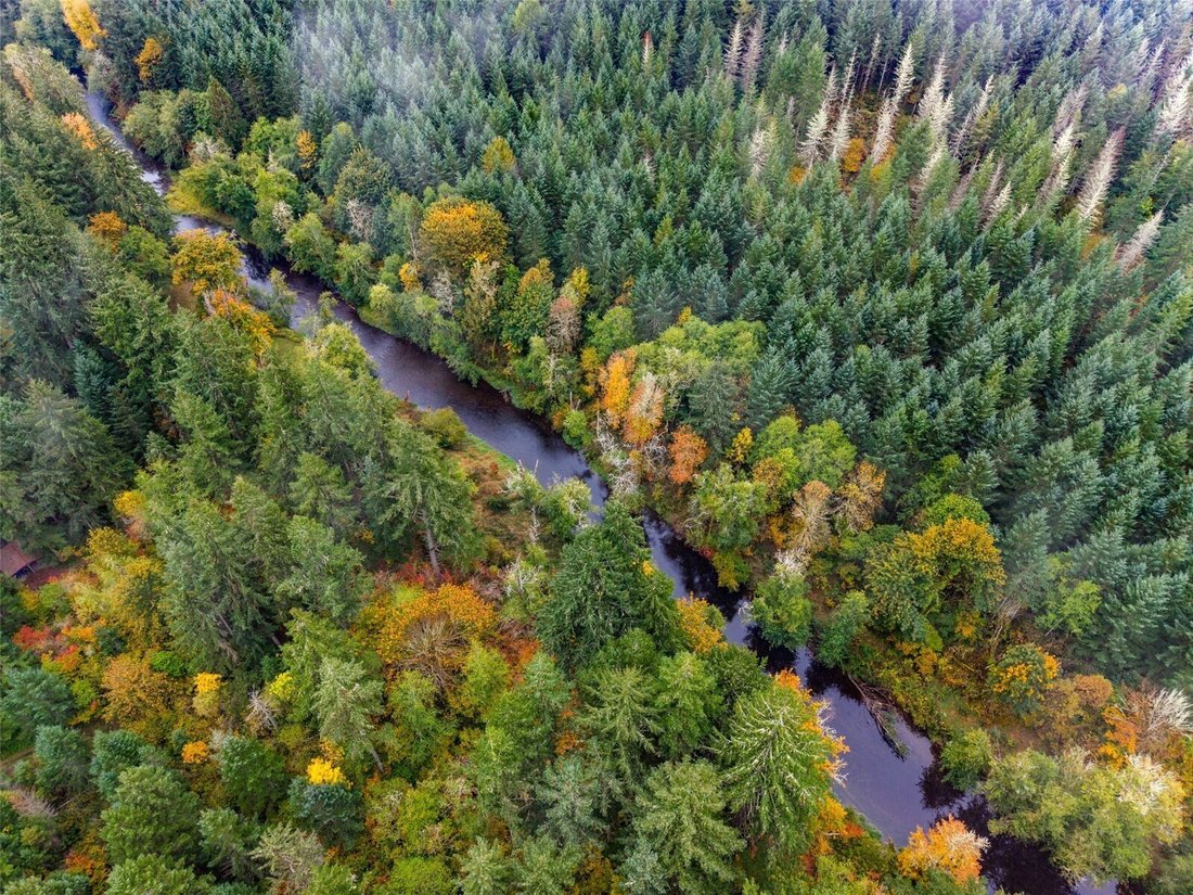 Terrain à Tenino, Washington, États-Unis 4 - 19126881