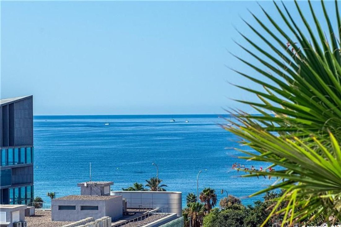 Appartamento a Palma di Maiorca, Isole Baleari, Spagna 3 - 19126144