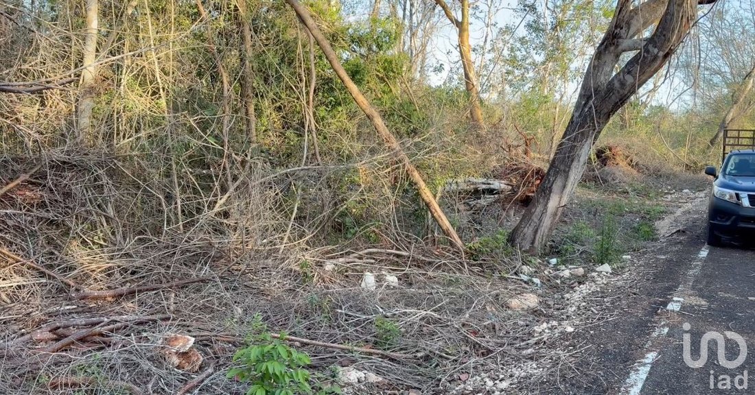 Terreno en Sisbichén, Yucatán, México 5 - 19131029