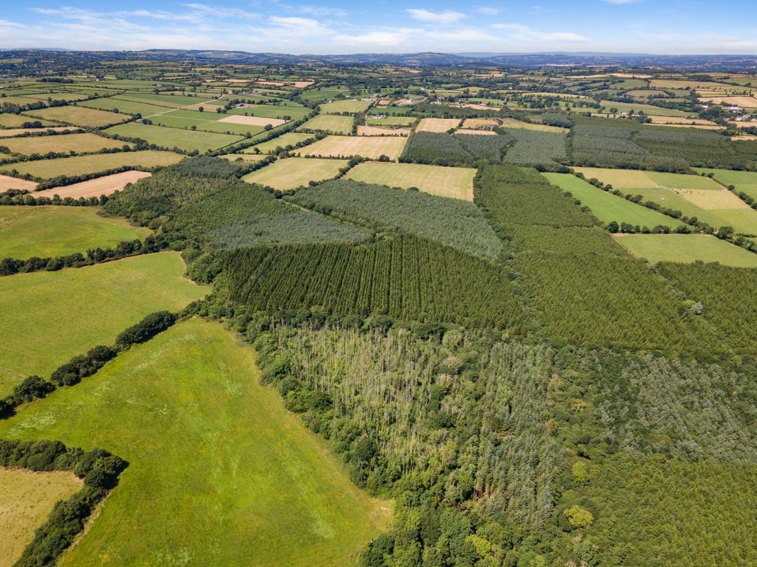 Terreno en Bonnettstown, County Kilkenny, Irlanda 4 - 19122471