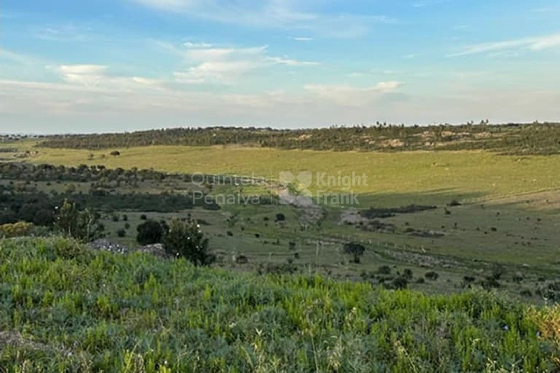 Terrain à Pardais, District d'Évora, Portugal 3 - 19129648