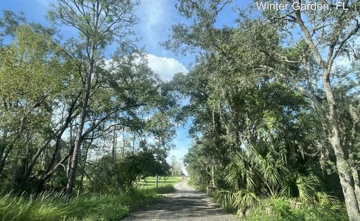 Casa a Winter Garden, Florida, Stati Uniti 1