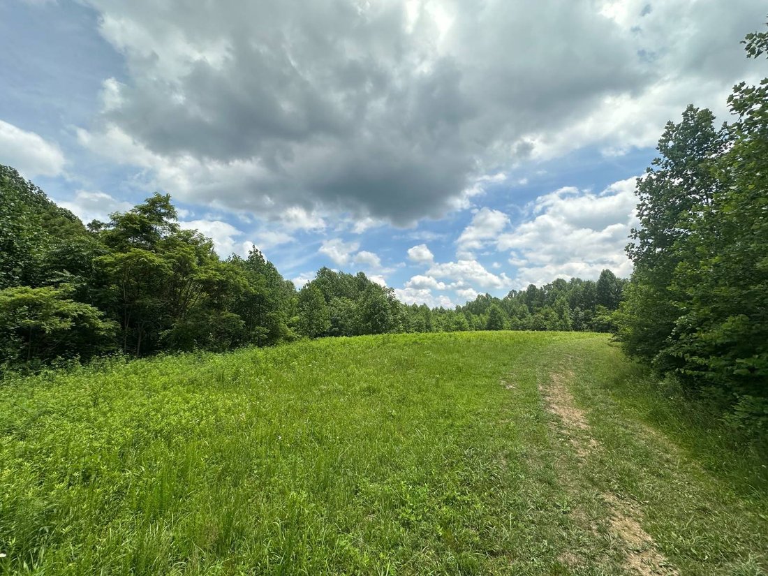 Land in Liberty, Kentucky, United States 4 - 19128313