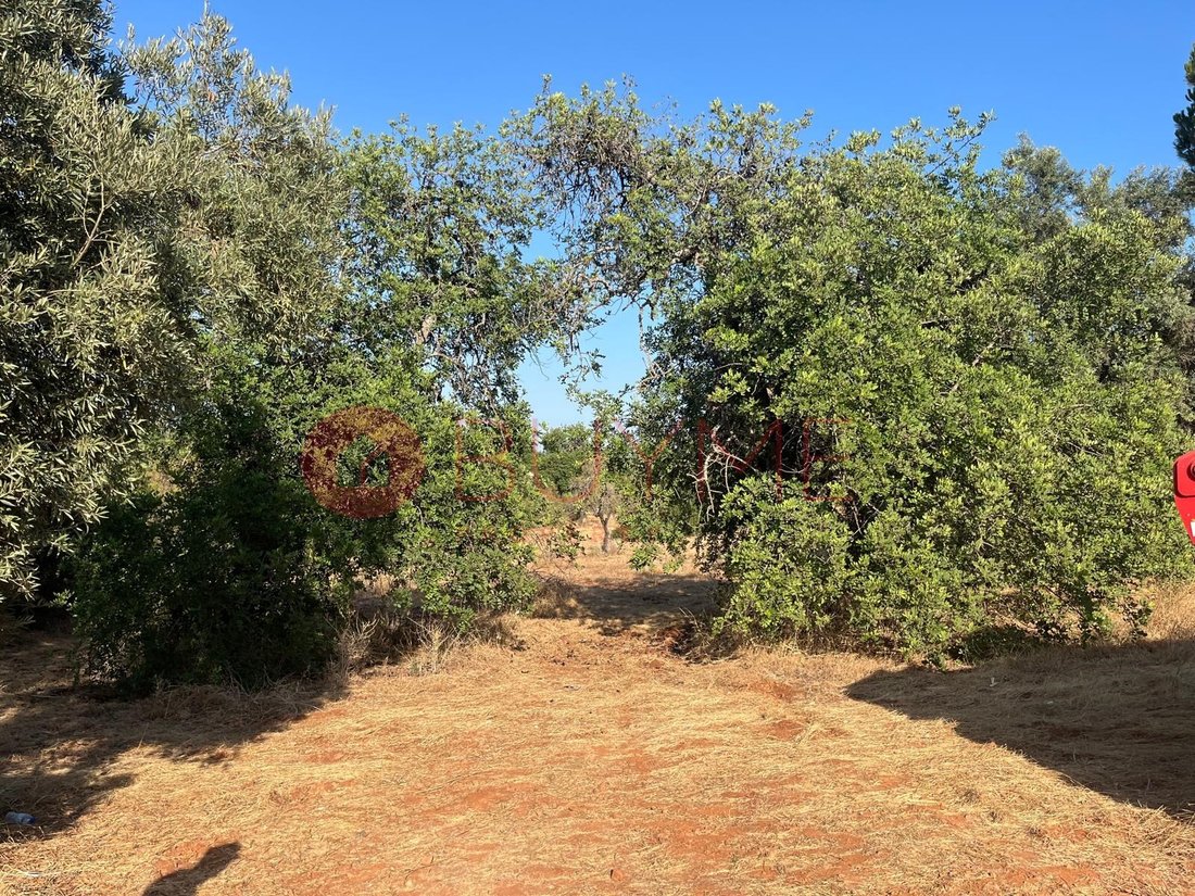 Land in Boliqueime, Algarve, Portugal 3 - 19133984