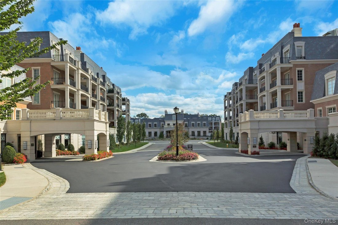 Condo in Manhasset, New York, United States 3 - 19126226