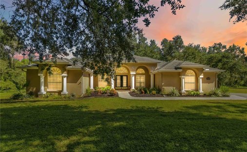 Haus in Plant City, Florida, Vereinigte Staaten 1