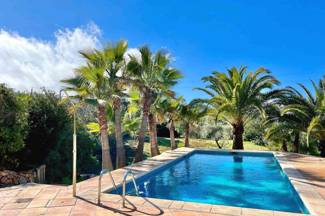 Landhaus in Port d'Andratx, Andratx, Balearische Inseln 3 - 19125188