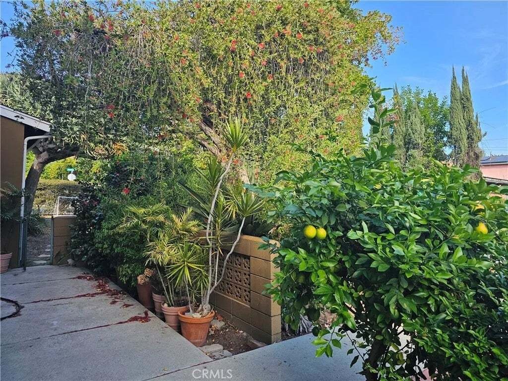 Otros en Altadena, California, Estados Unidos 4 - 19132193
