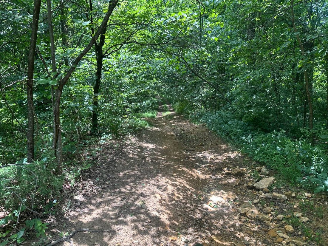 Land in Liberty, Kentucky, United States 5 - 19128313