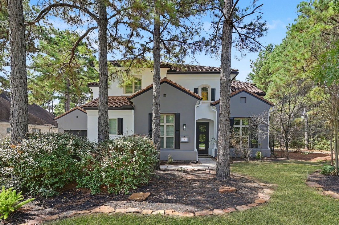 Haus in The Woodlands, Texas, Vereinigte Staaten 2 - 19131248