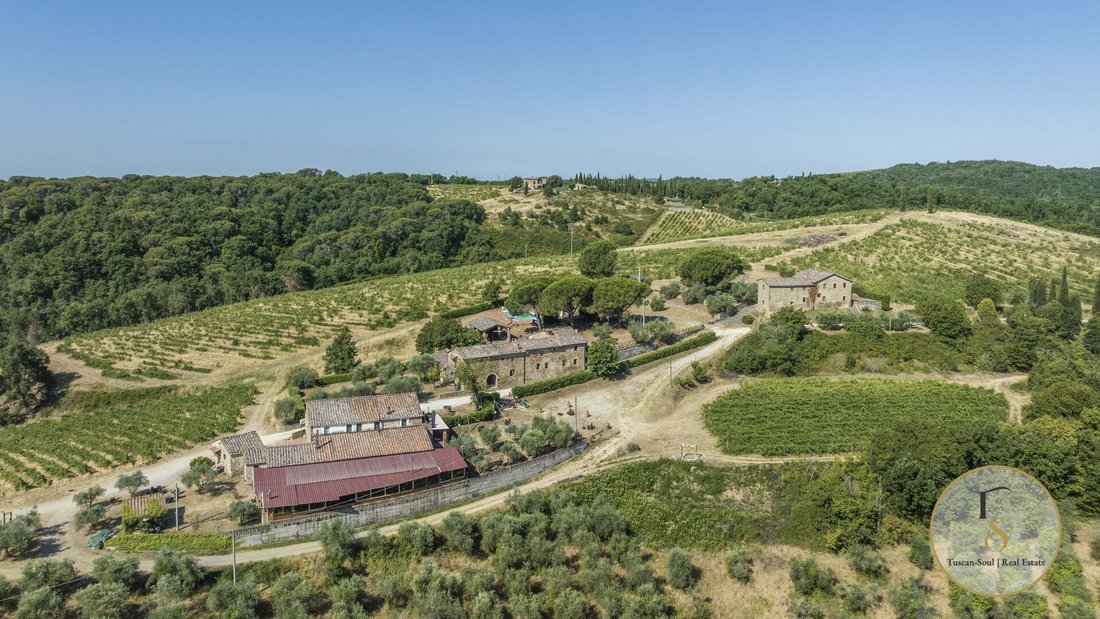 Villa in Castelnuovo Berardenga, Toskana, Italien 5 - 19134947