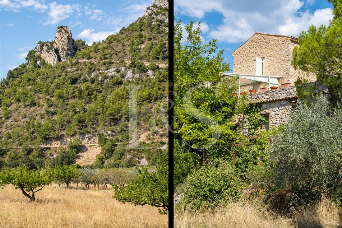 Castle in Beauvoisin, Auvergne-Rhône-Alpes, France 4 - 19133763