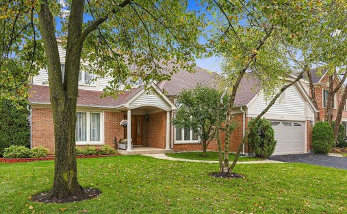 Maison à Buffalo Grove, Illinois, États-Unis 1