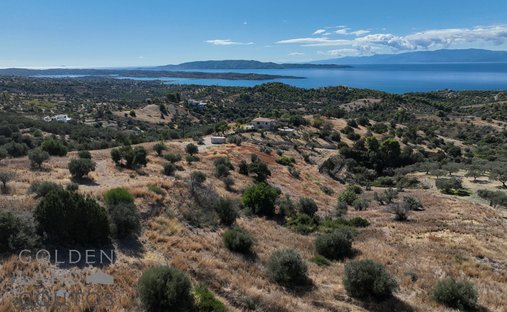 Terrain à Koinotita Kranidiou, Kranidi, Grèce 1