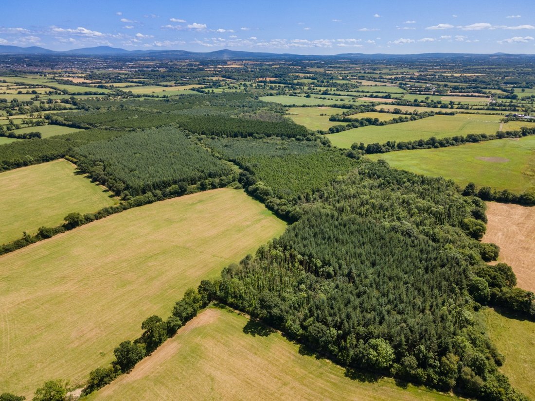 Terreno en Bonnettstown, County Kilkenny, Irlanda 3 - 19122471