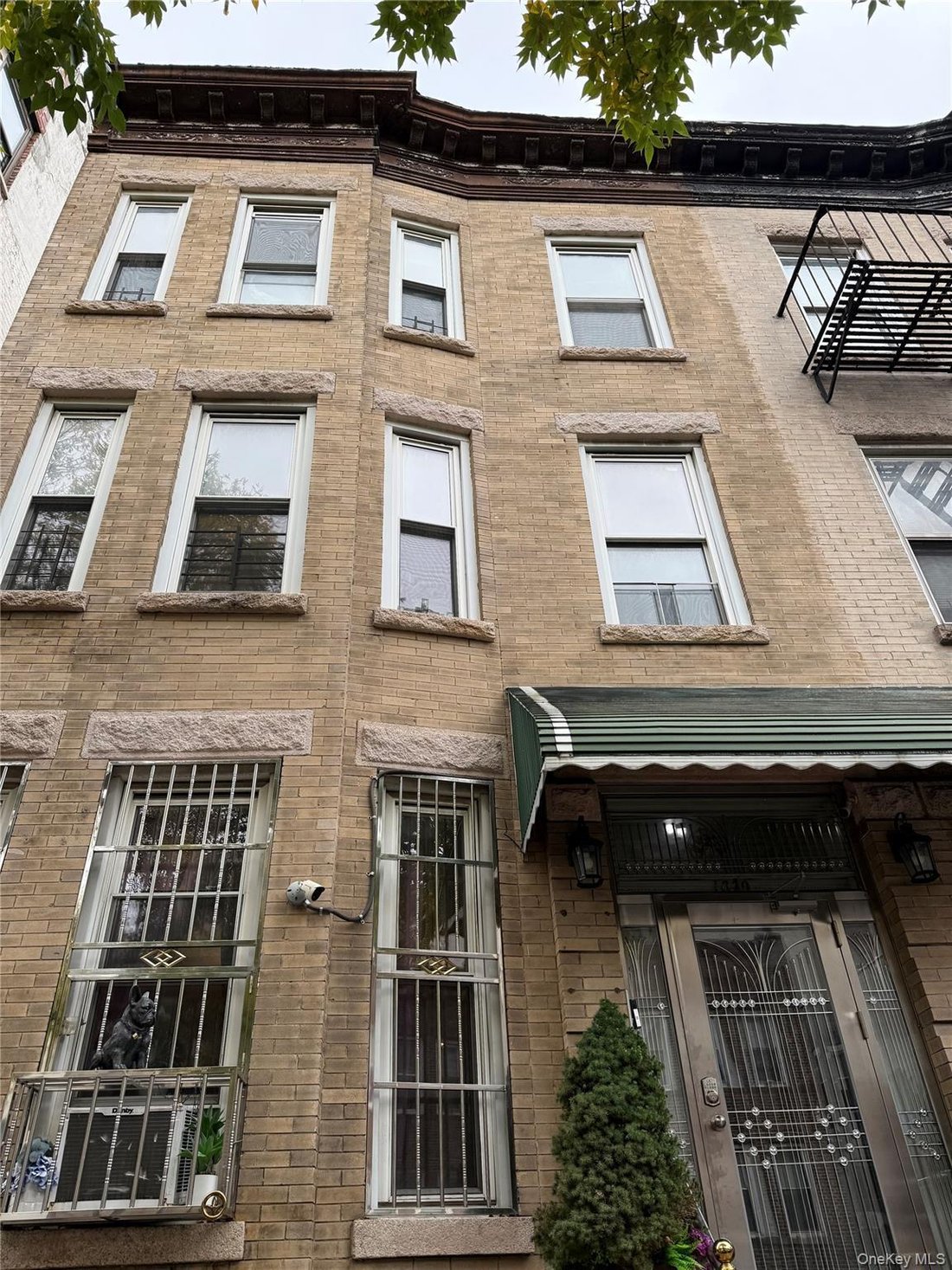 House in New York, New York, United States 1 - 19124865