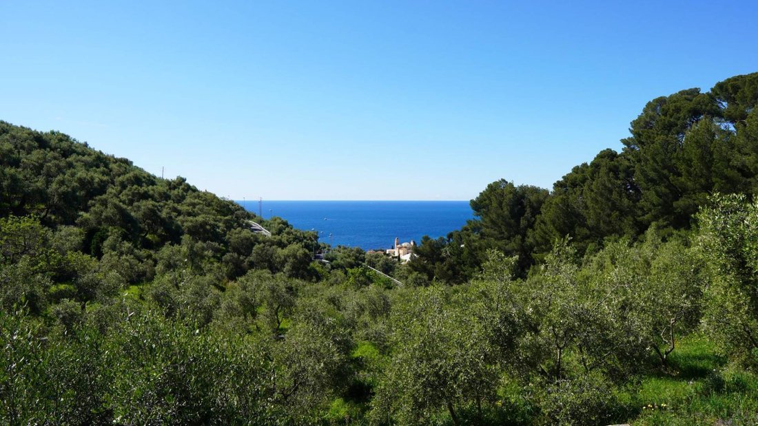 Villa en Cervo, Liguria, Italia 5 - 19121573