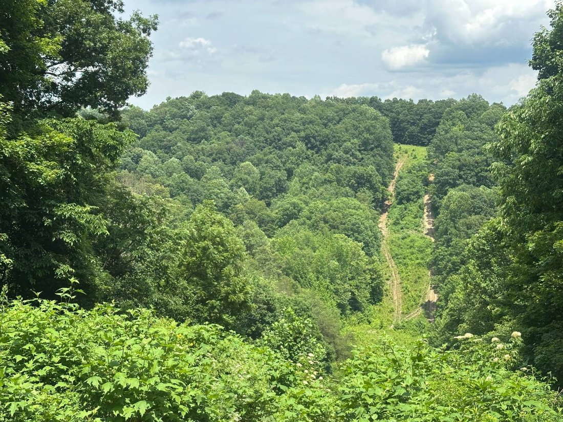 Land in Liberty, Kentucky, United States 1 - 19128313